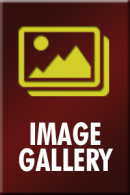 Go to image gallery