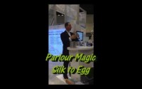 Silk to Egg
